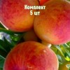 Комплект 5шт / Персик Радужный 86: фото и описание